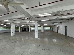 Kallang Bahru (D12), Factory #581285401